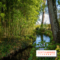 Les Jardins de la Maison Claude Monet à l'automne