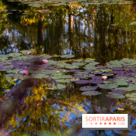 Les Jardins de la Maison Claude Monet à l'automne