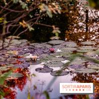 Les Jardins de la Maison Claude Monet à l'automne