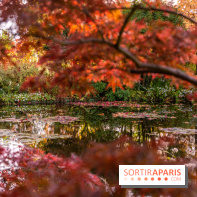 Les Jardins de la Maison Claude Monet à l'automne