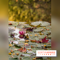 Les Jardins de la Maison Claude Monet à l'automne