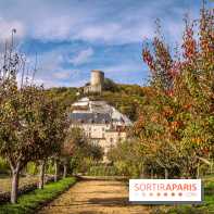 Château et potager de la Roche-Guyon