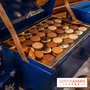 Bûche de Noël Ladurée 2022 - coffret macarons