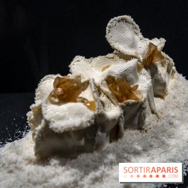 Le Salon du Chocolat 2022, les photos- Bûche de Noël - Park Hyatt Paris