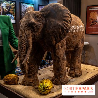 Le Salon du Chocolat 2022, les photos