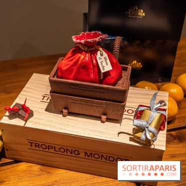 La Bûche de Noël d'Adrien Salavert aux Belles Perdrix de Troplong Mondot 2022 - hotte de vendanges du Père Noël