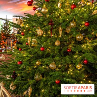 Visuels Noël - sapin