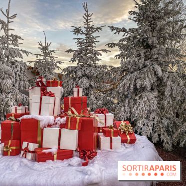 Visuels Noël - cadeau noël