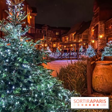 Noël Paris visuels - sapin de noël