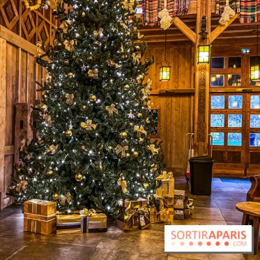 Noël Paris visuels - sapin de noël