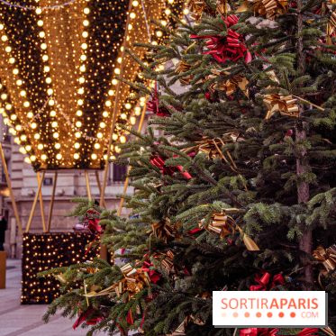 Noël Paris visuels - sapin