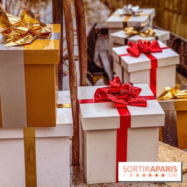 Noël Paris visuels - cadeau Noël