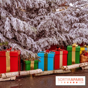 Noël Paris visuels - cadeau Noël