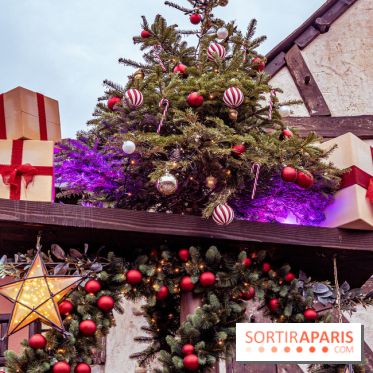 Noël Paris visuels - cadeau noël - sapin