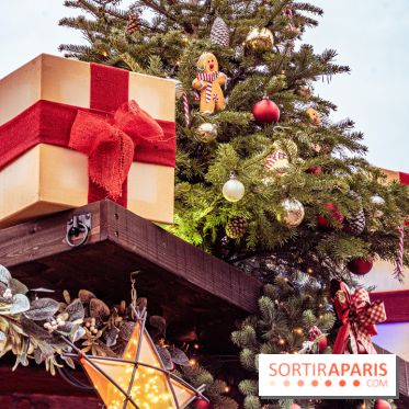 Noël Paris visuels - cadeau Noël