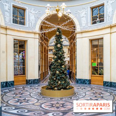 Noël Paris visuels - cadeau - sapin - Marché de Noël - cadeau de Noël - décoration -  A7C9121