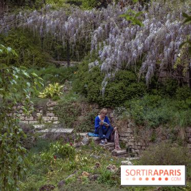 Le Jardin Alpin caché du Jardin des Plantes