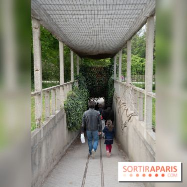 Le Jardin Alpin caché du Jardin des Plantes