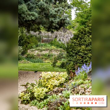 Le Jardin Alpin caché du Jardin des Plantes