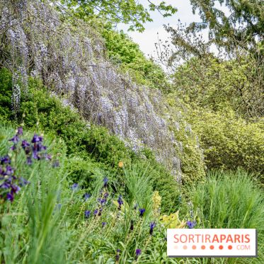 Le Jardin Alpin caché du Jardin des Plantes