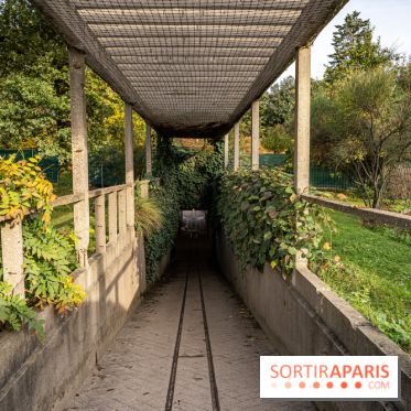 Le Jardin Alpin caché du Jardin des Plantes