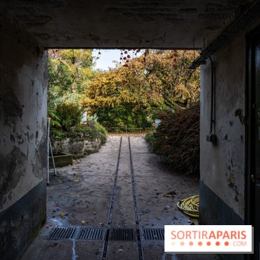 Le Jardin Alpin caché du Jardin des Plantes