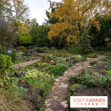 Le Jardin Alpin caché du Jardin des Plantes