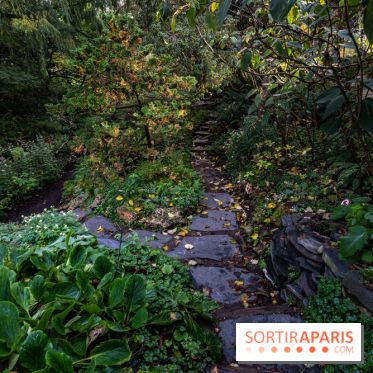 Le Jardin Alpin caché du Jardin des Plantes