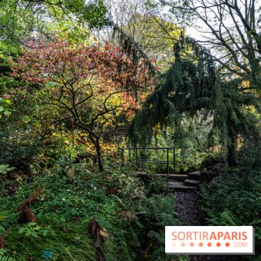 Le Jardin Alpin caché du Jardin des Plantes