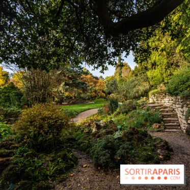 Le Jardin Alpin caché du Jardin des Plantes