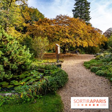 Le Jardin Alpin caché du Jardin des Plantes