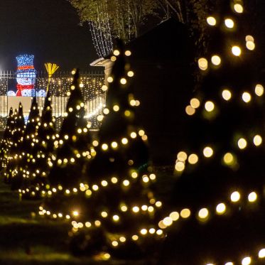 Annonce Lumières en Seine 2022
