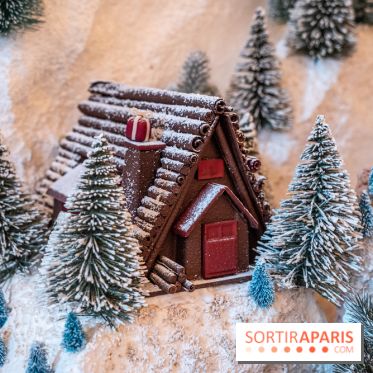 La Bûche de Noël du Plaza Athénée 2022 : le Chalet du Plaza - bûche chocolat