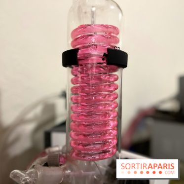 Atelier création de gin à la distillerie Baccae