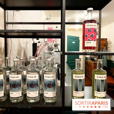 Atelier création de gin à la distillerie Baccae