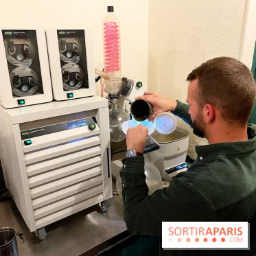 Atelier création de gin à la distillerie Baccae