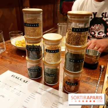 Atelier création de gin à la distillerie Baccae