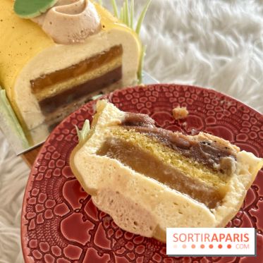 Bûches de Noël végétales des maisons Landemaine et Land&Monkeys