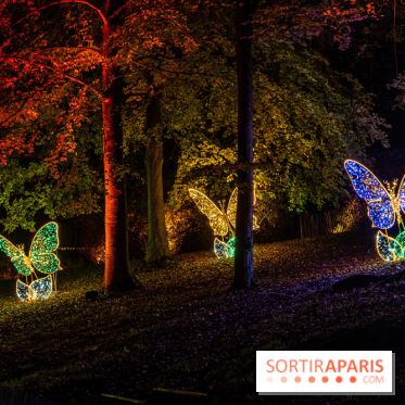 Lumières en Seine 2022