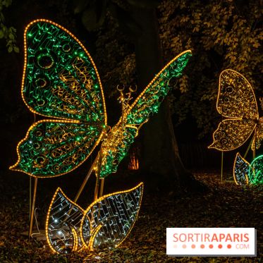 Lumières en Seine 2022