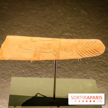 Arts et Préhistoire, l'exposition de peintures rupestres au Musée de l'Homme - nos photos