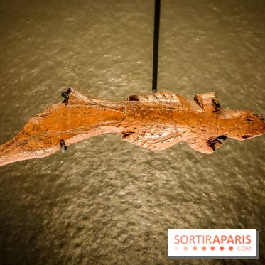 Arts et Préhistoire, l'exposition de peintures rupestres au Musée de l'Homme - nos photos