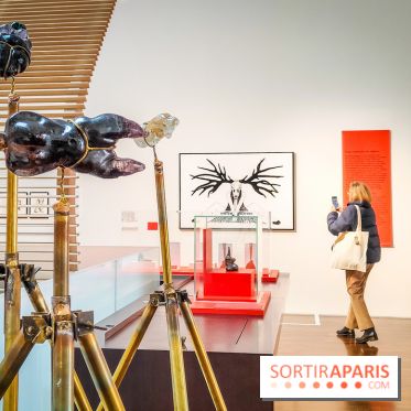 Arts et Préhistoire, l'exposition de peintures rupestres au Musée de l'Homme - nos photos