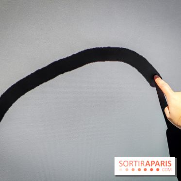 Arts et Préhistoire, l'exposition de peintures rupestres au Musée de l'Homme - nos photos