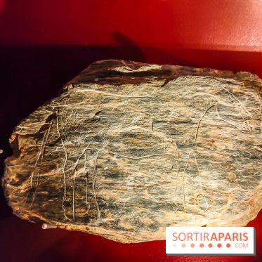 Arts et Préhistoire, l'exposition de peintures rupestres au Musée de l'Homme - nos photos