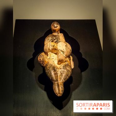 Arts et Préhistoire, l'exposition de peintures rupestres au Musée de l'Homme - nos photos