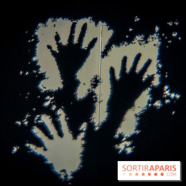 Arts et Préhistoire, l'exposition de peintures rupestres au Musée de l'Homme - nos photos