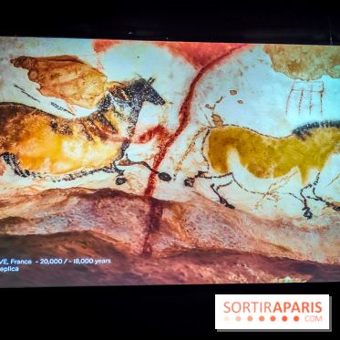Arts et Préhistoire, l'exposition de peintures rupestres au Musée de l'Homme - nos photos