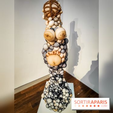 Arts et Préhistoire, l'exposition de peintures rupestres au Musée de l'Homme - nos photos