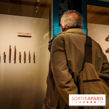 Arts et Préhistoire, l'exposition de peintures rupestres au Musée de l'Homme - nos photos